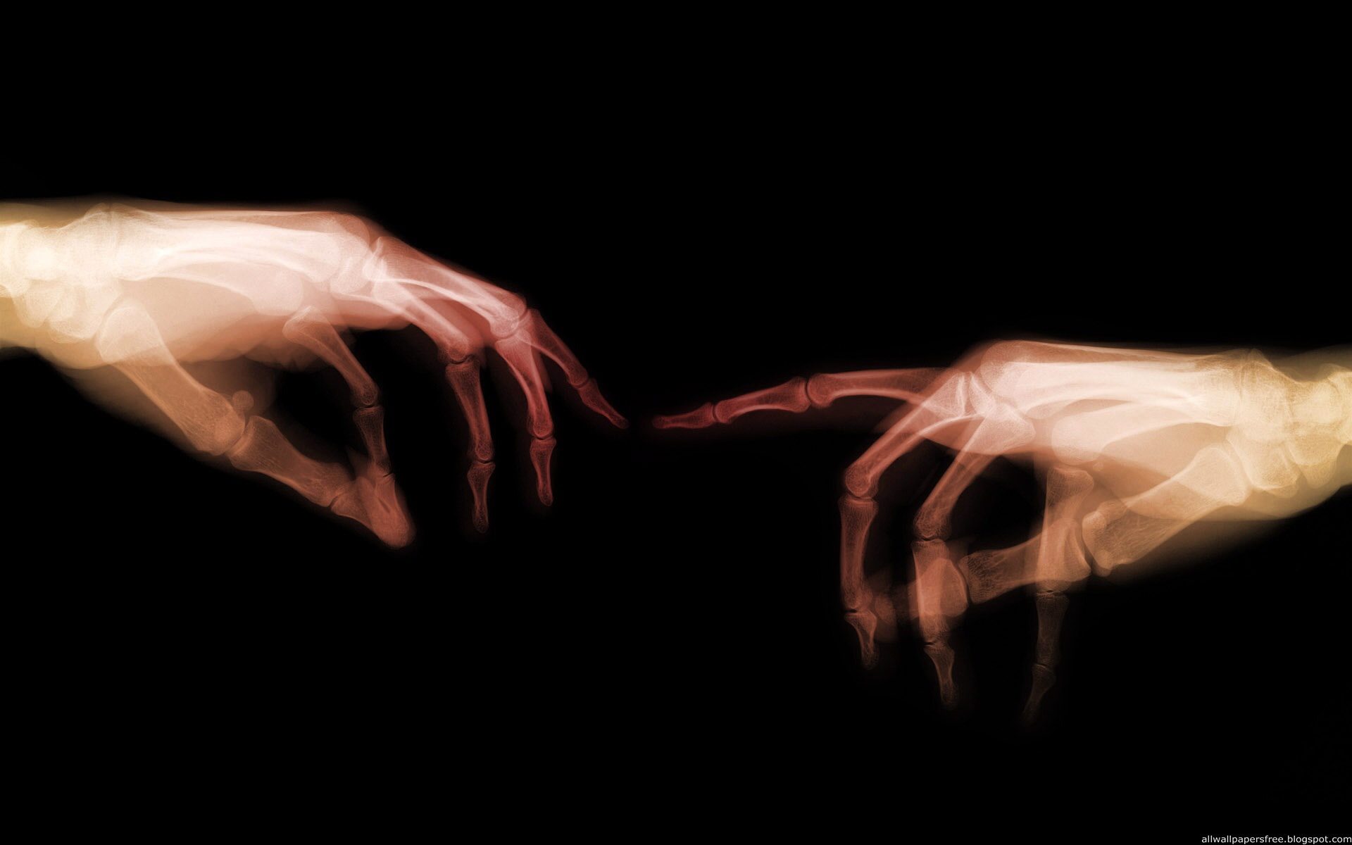 Ray Hands Wallpapers - Fuel Natural Selection - HD Wallpaper 