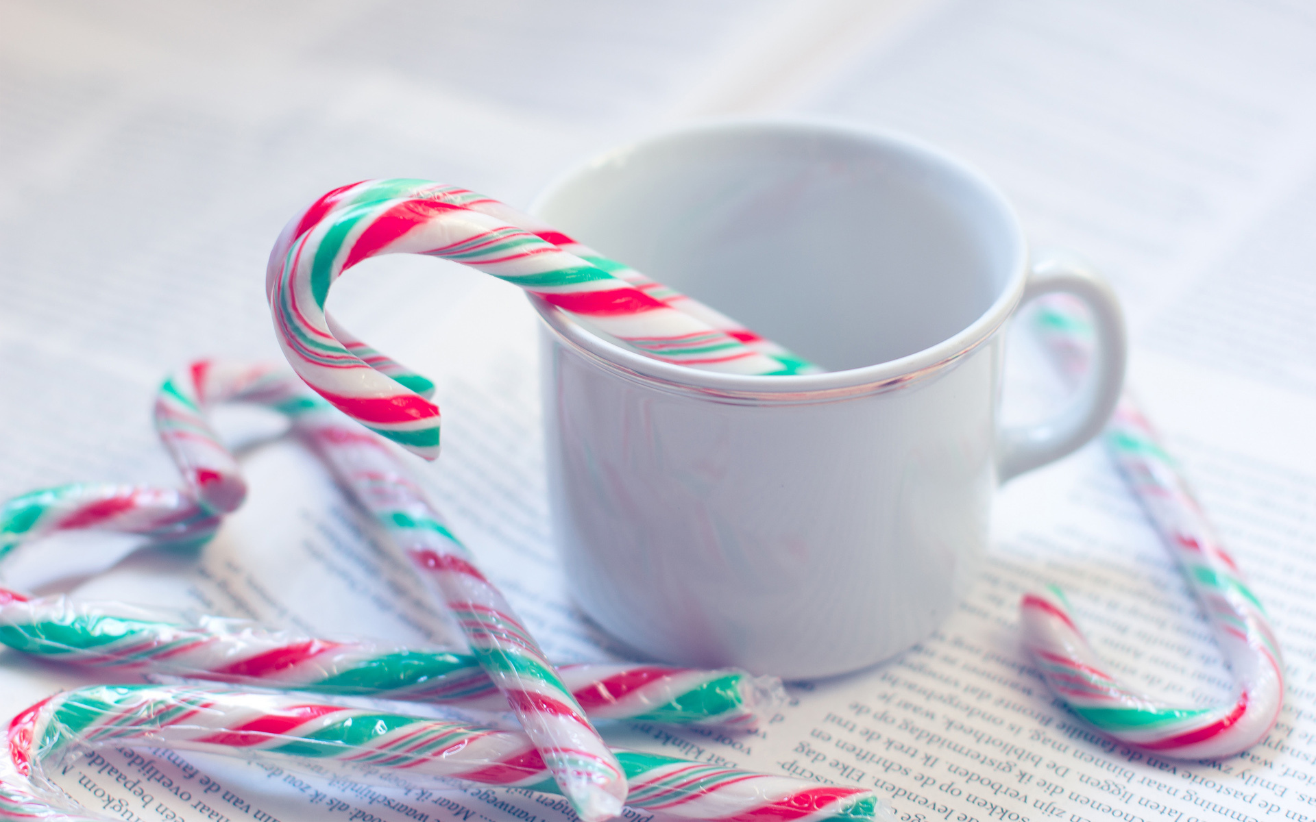 Wallpaper - HD Wallpaper 