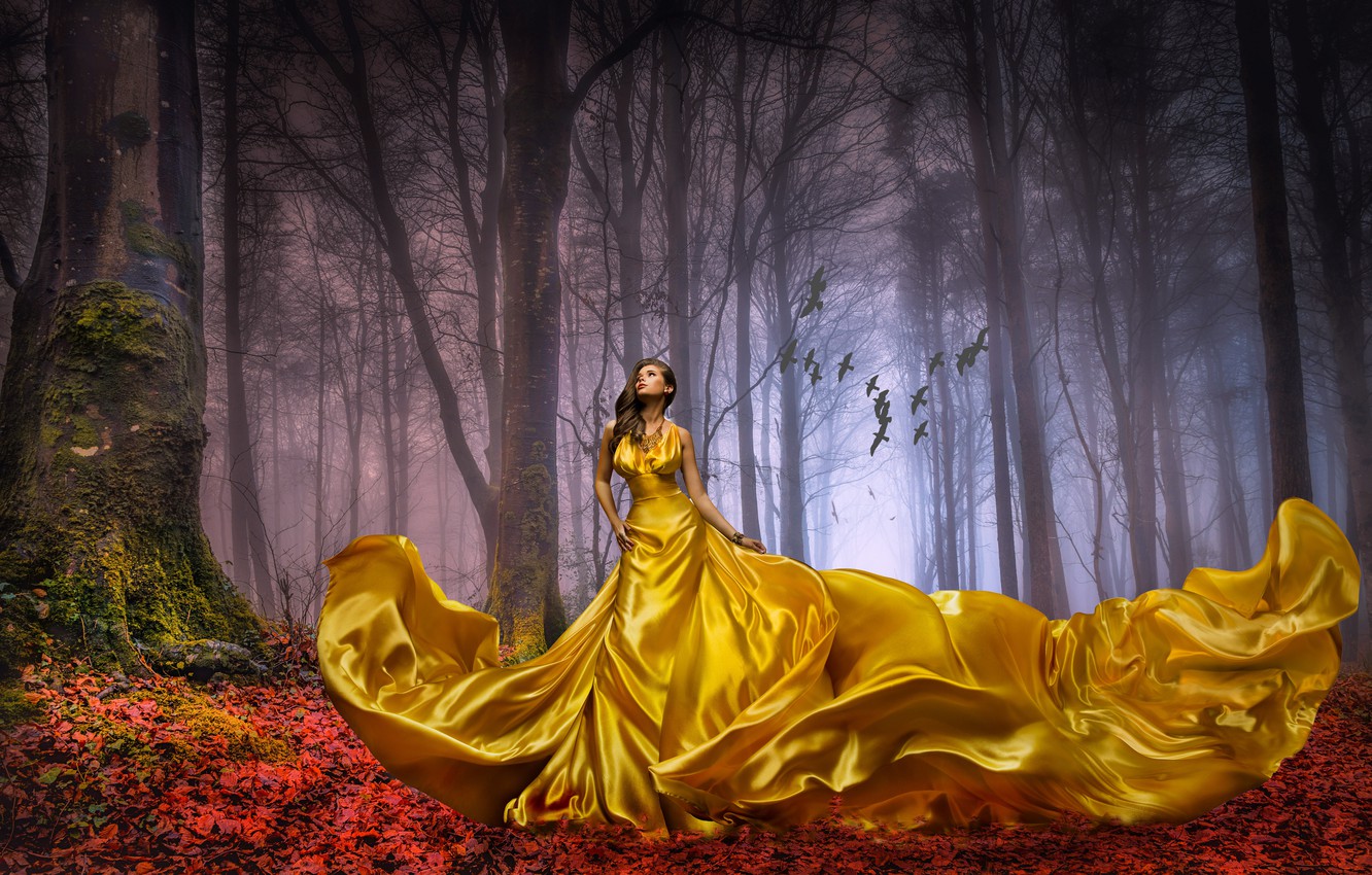 Photo Wallpaper Autumn Forest Leaves Girl Trees Girl In Dress Landscape 1332x850 Wallpaper Teahub Io Photo Wallpaper Autumn Forest Leaves Girl Trees Girl In Dress Landscape 1332x850 Wallpaper Teahub Io