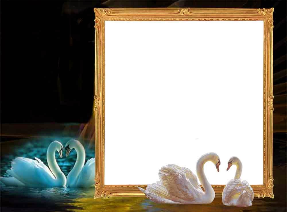 Romantic Frame Love Background Png - Background Png Photo Frame - HD Wallpaper 