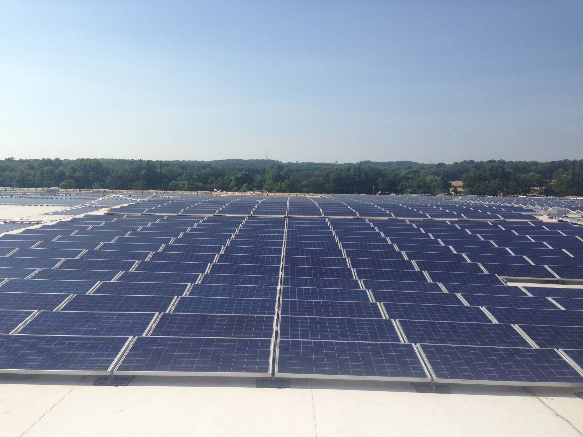 Anne Arundel Police Arrest Man Suspected Of Shooting - Sunlight - HD Wallpaper 