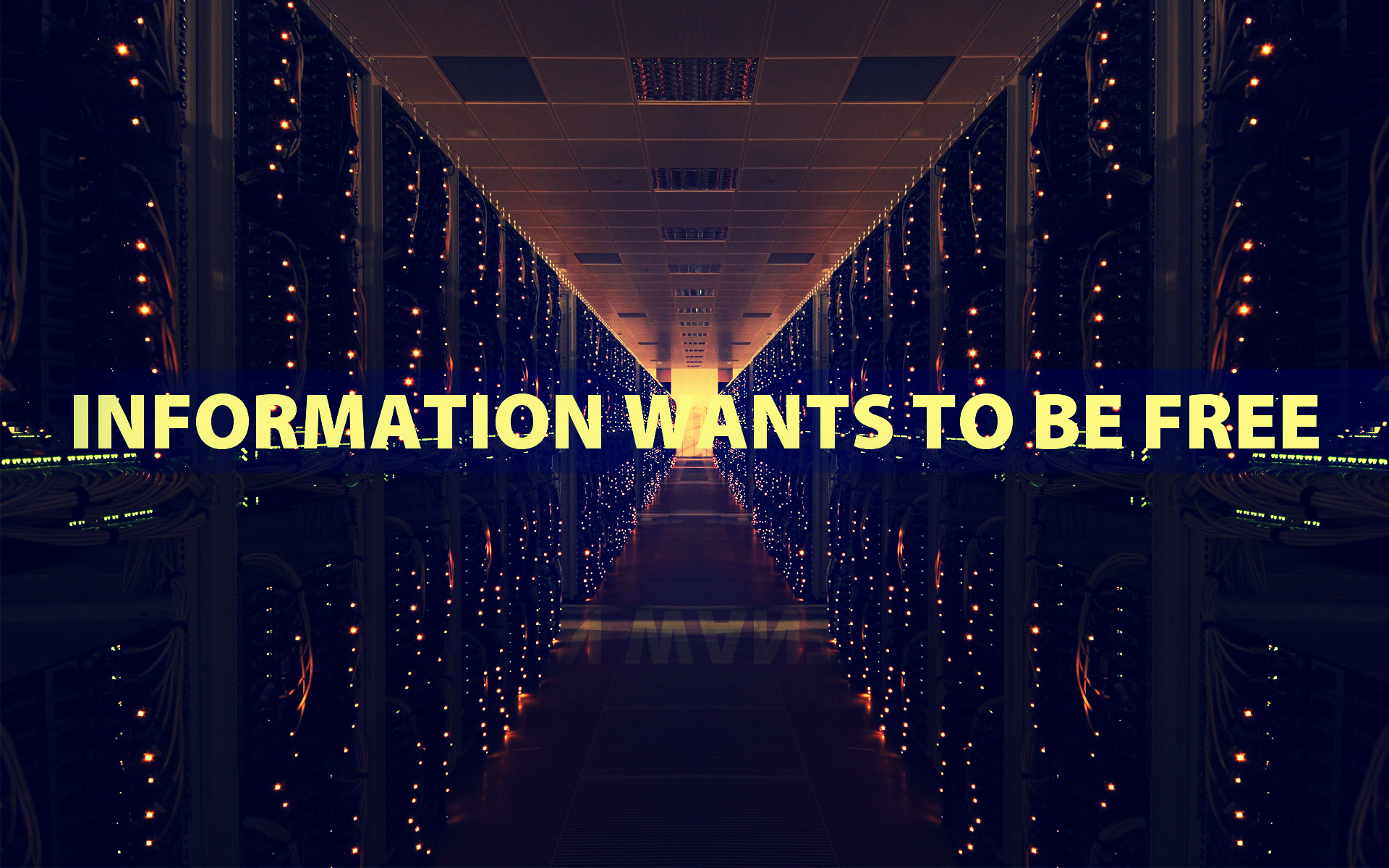 Information To Be Free - Hd Wallpapers Information Technology - HD Wallpaper 