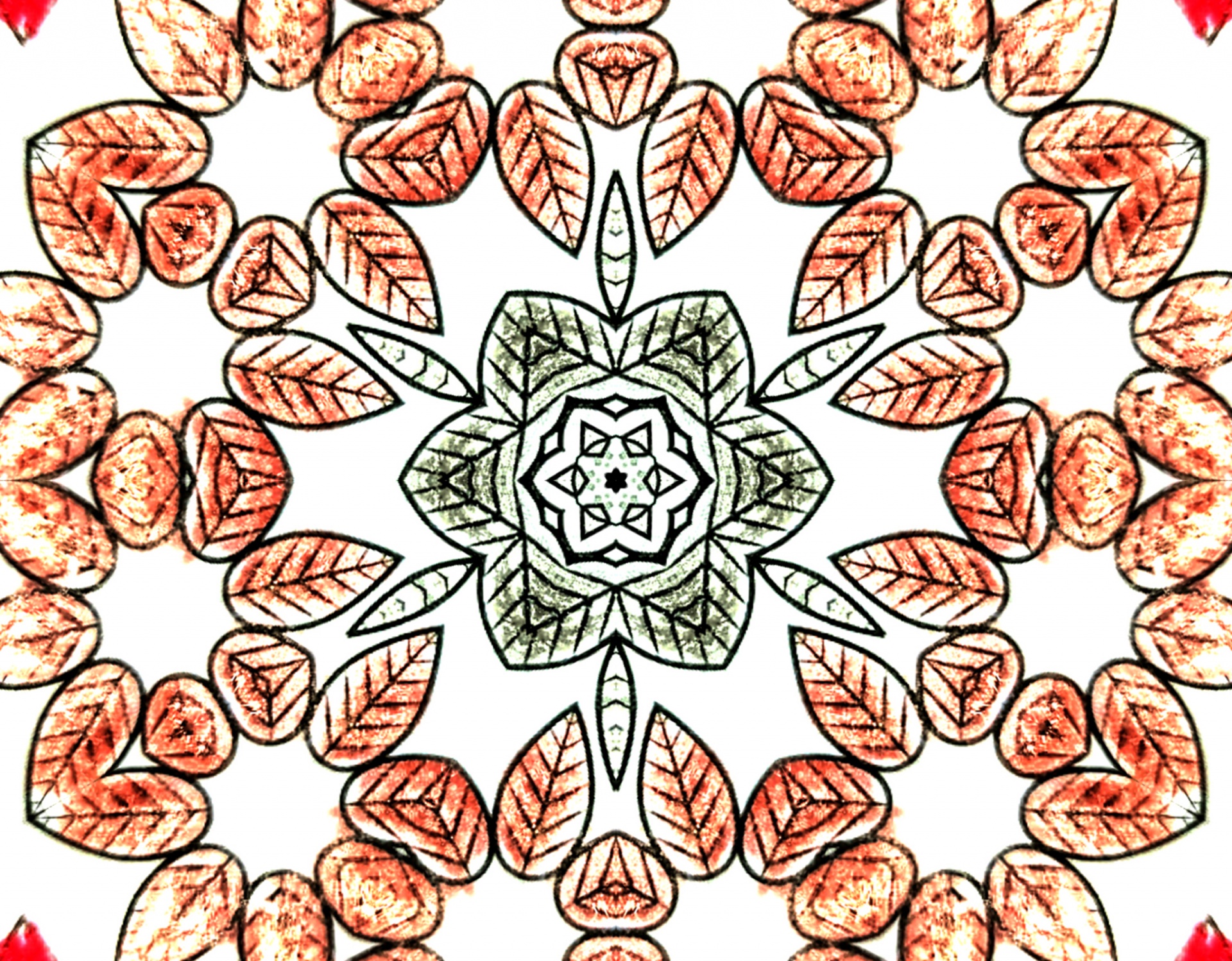 Background Wallpaper Flower Free Photo - Illustration - HD Wallpaper 
