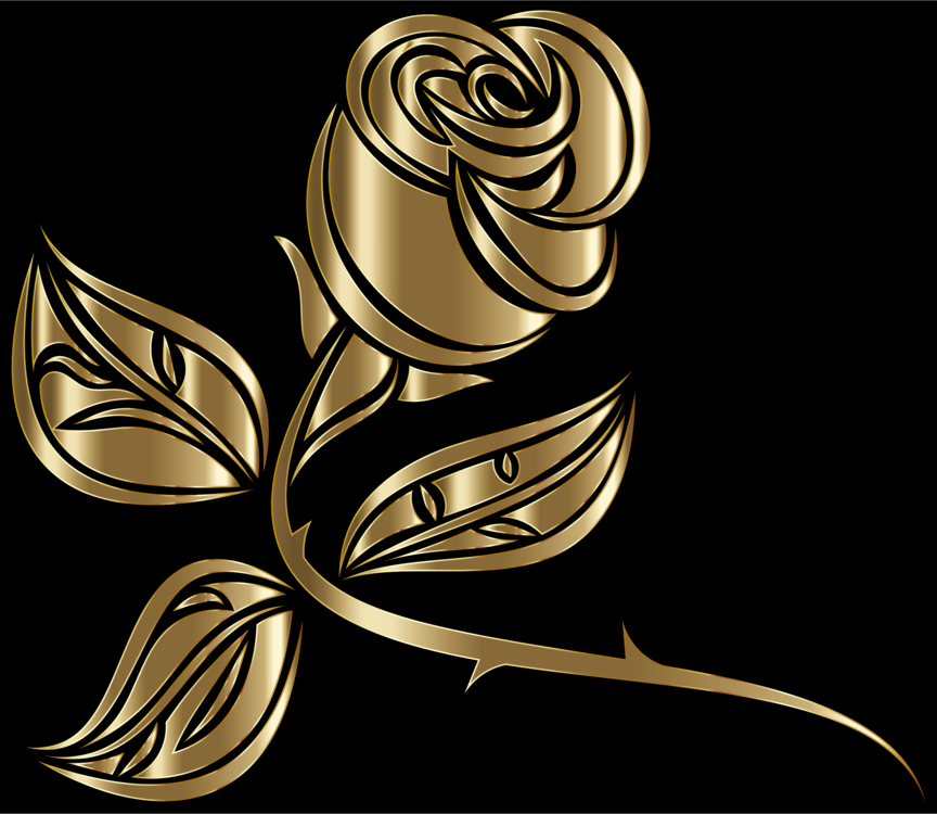 Computer Wallpaper,plant,flora - Fondos Bella Y Bestia Rojo - HD Wallpaper 