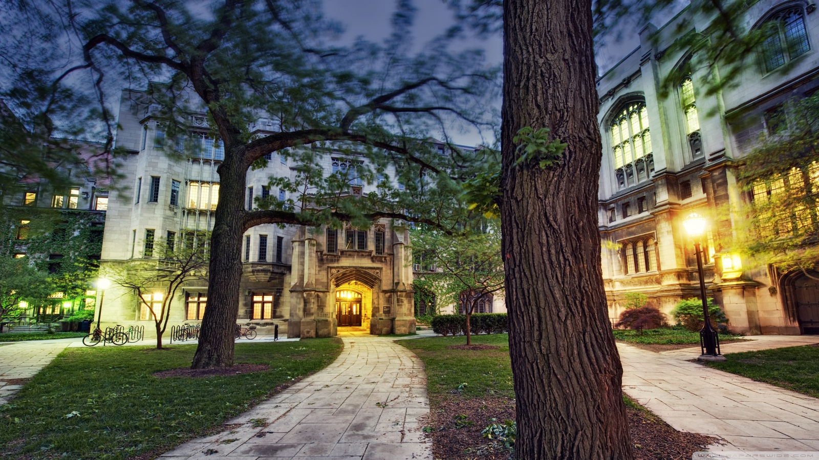 University Of Chicago - HD Wallpaper 