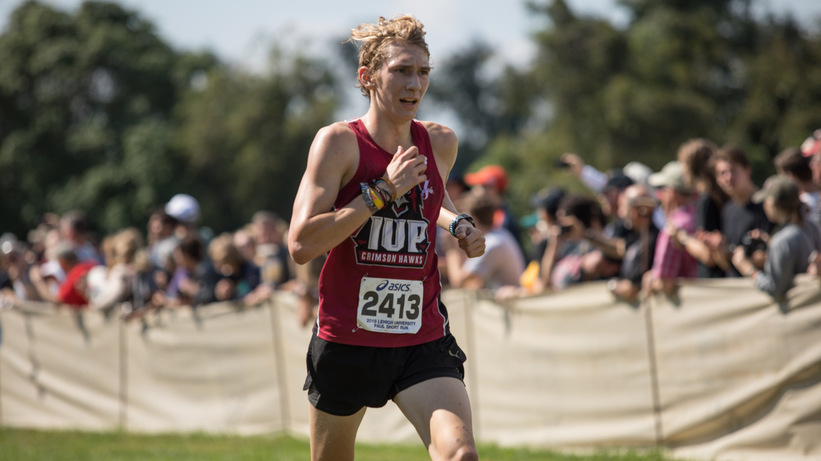 Iup Crimson Hawks 1600x900 Wallpaper teahub.io