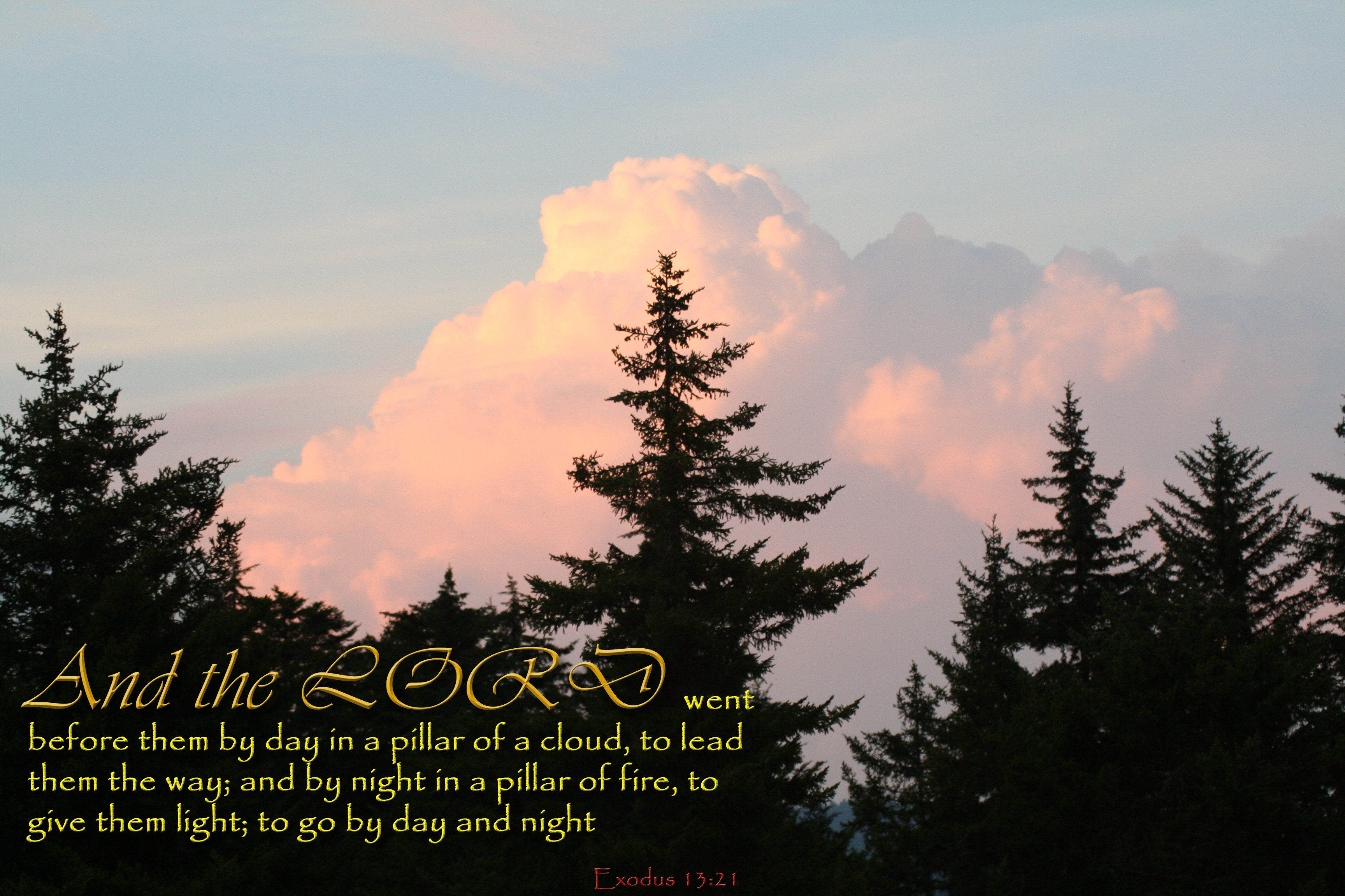 Exodus 13-21 Lord Pillar Cloud Lead Night Pillar Fire - Shortleaf Black Spruce - HD Wallpaper 