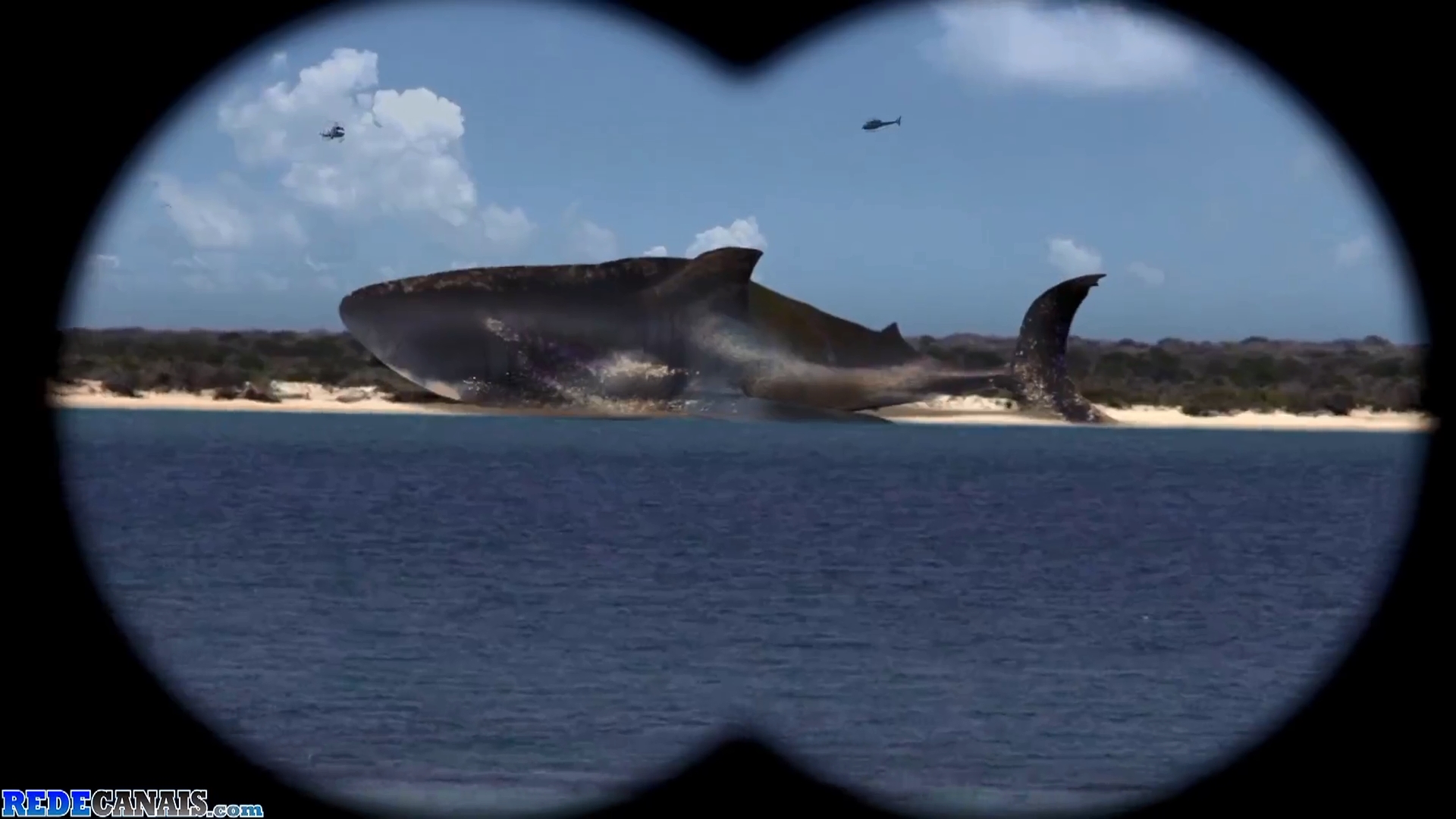 Mega Shark Game Shakers - HD Wallpaper 