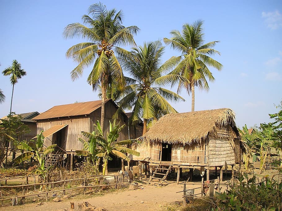 Brown House Near Trees, Cottages, Cambodia, Land, Live, - Palm Tree House In Cambodia - HD Wallpaper 