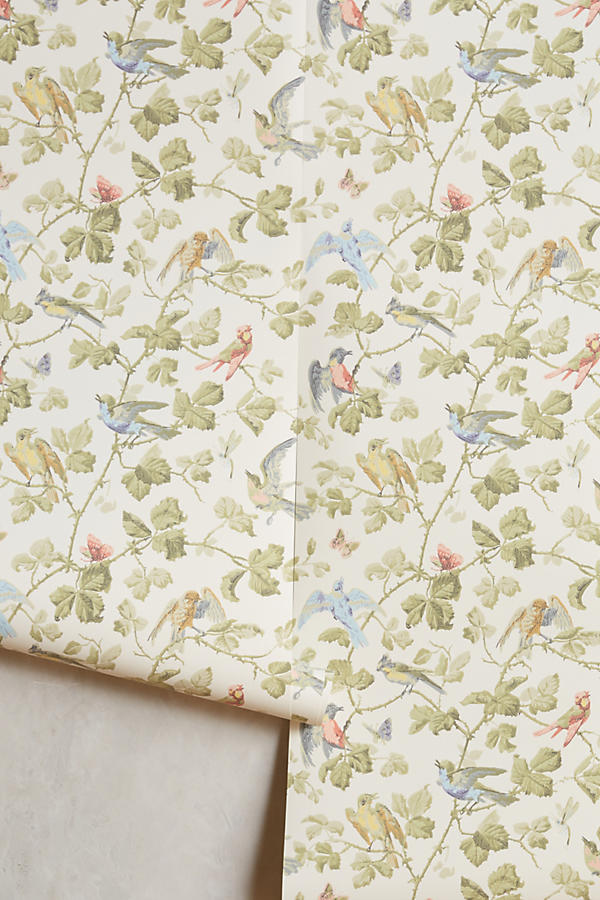 Cole And Son Winter Birds 100 2009 - HD Wallpaper 