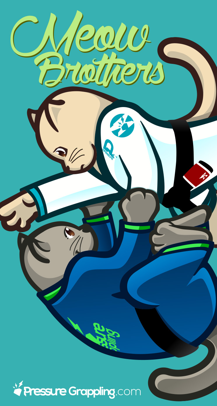 Bjj Wallpaper Hd Iphone - HD Wallpaper 