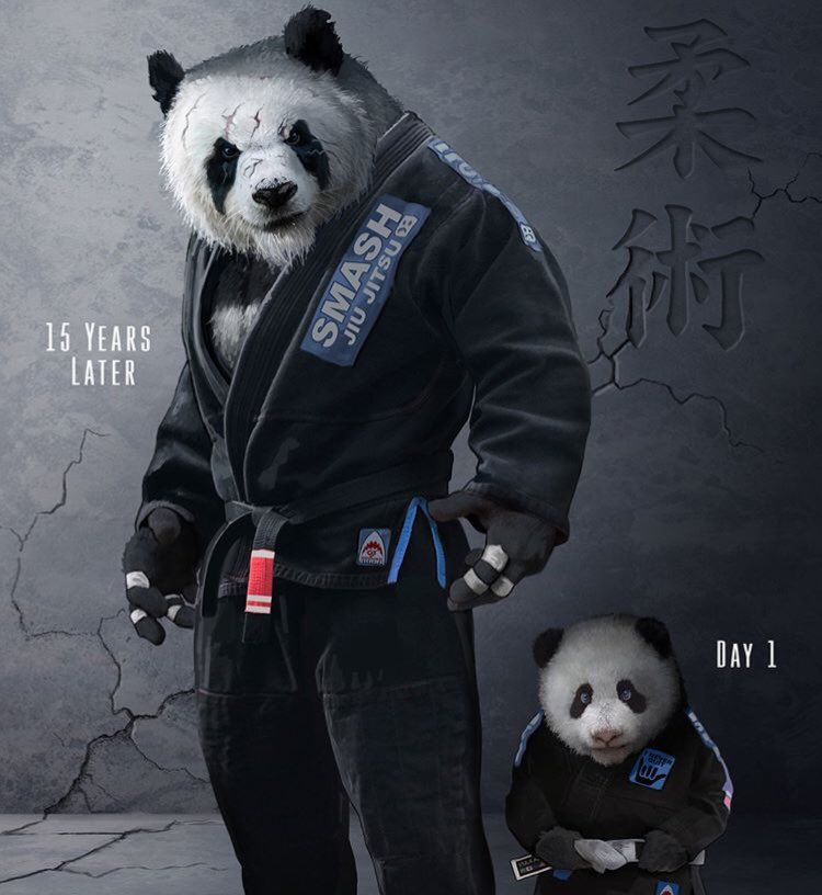 Panda Jiu Jitsu - HD Wallpaper 