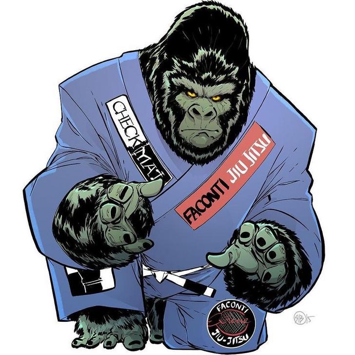 Brazilian Jiu Jitsu - HD Wallpaper 