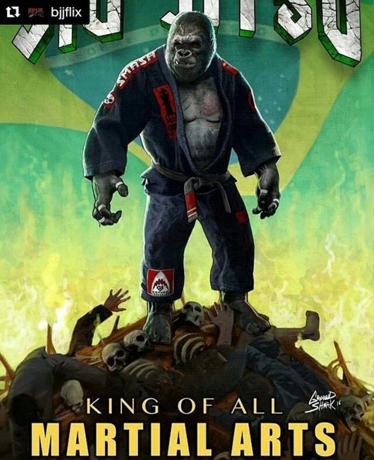 Jiu Jitsu Gorilla - HD Wallpaper 