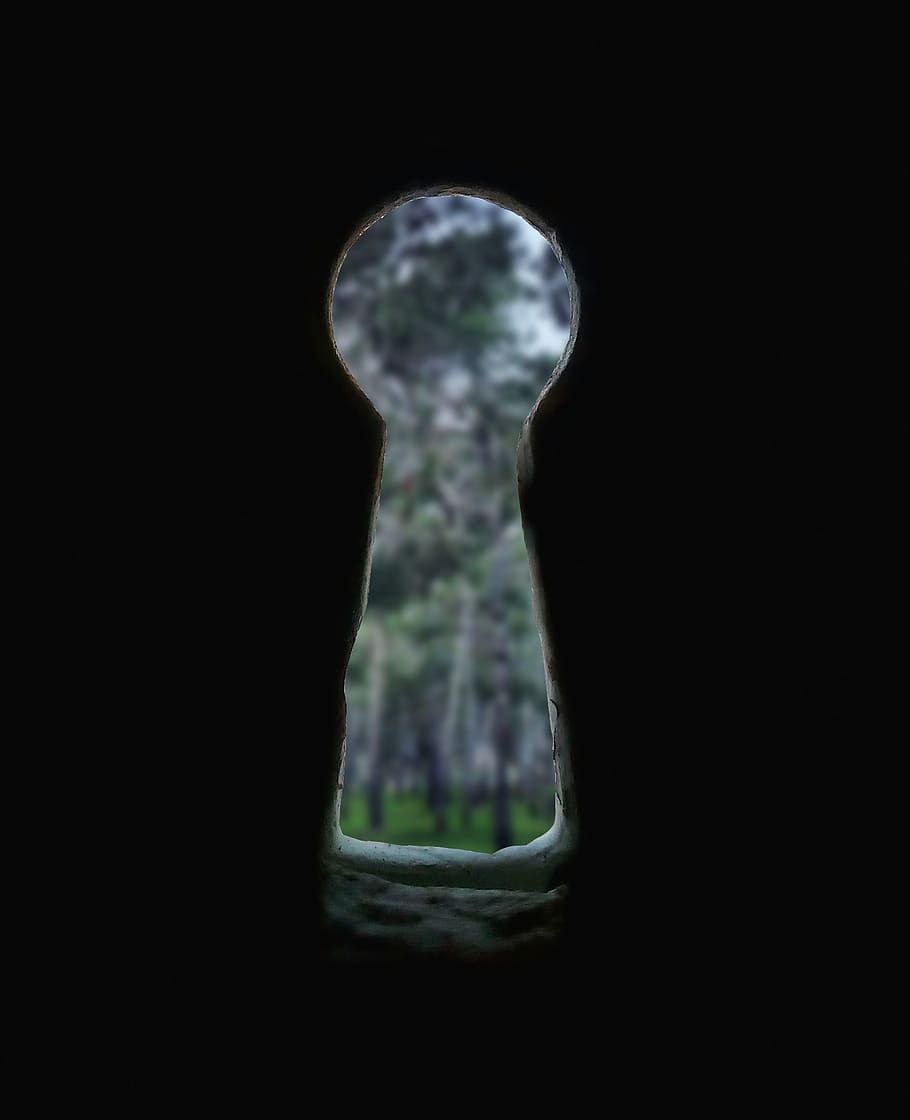 Forest, Secret, Blurry, Key, Hole, Dark, Curious, No - Darkness - HD Wallpaper 