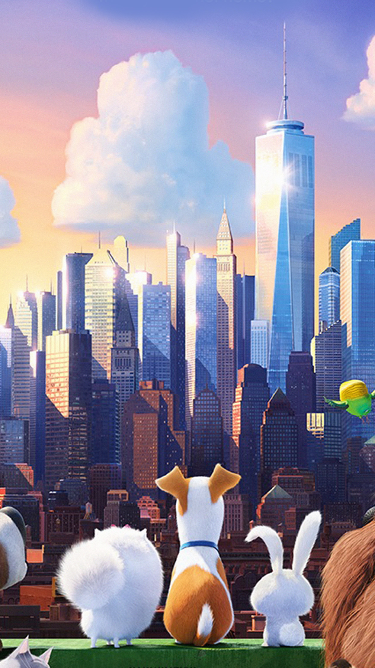 Cats Secret Life Of Pets - HD Wallpaper 