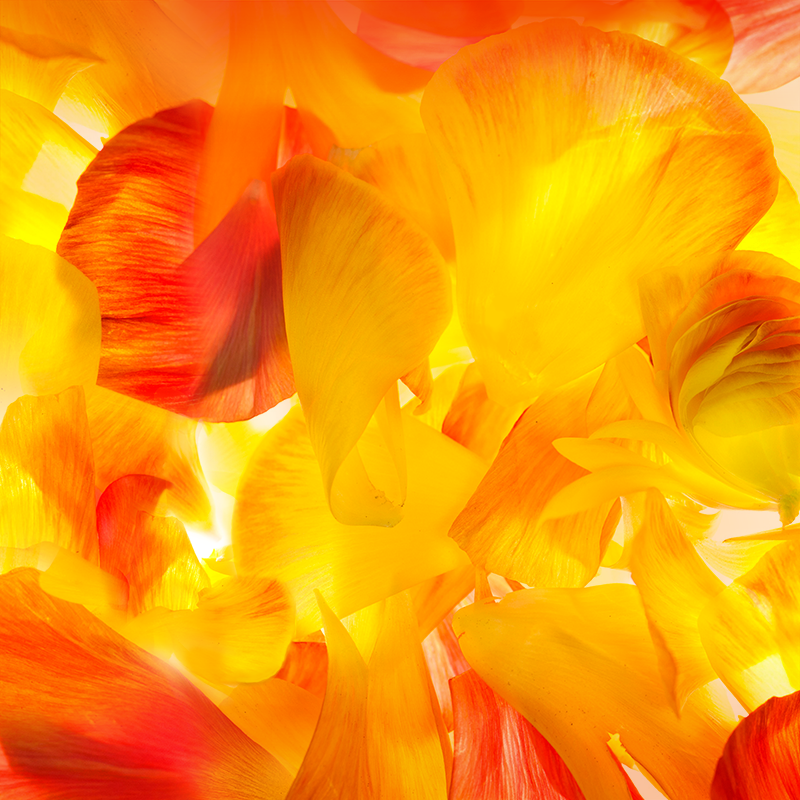 Samsung Galaxy S5 Wallpaper Apk - HD Wallpaper 