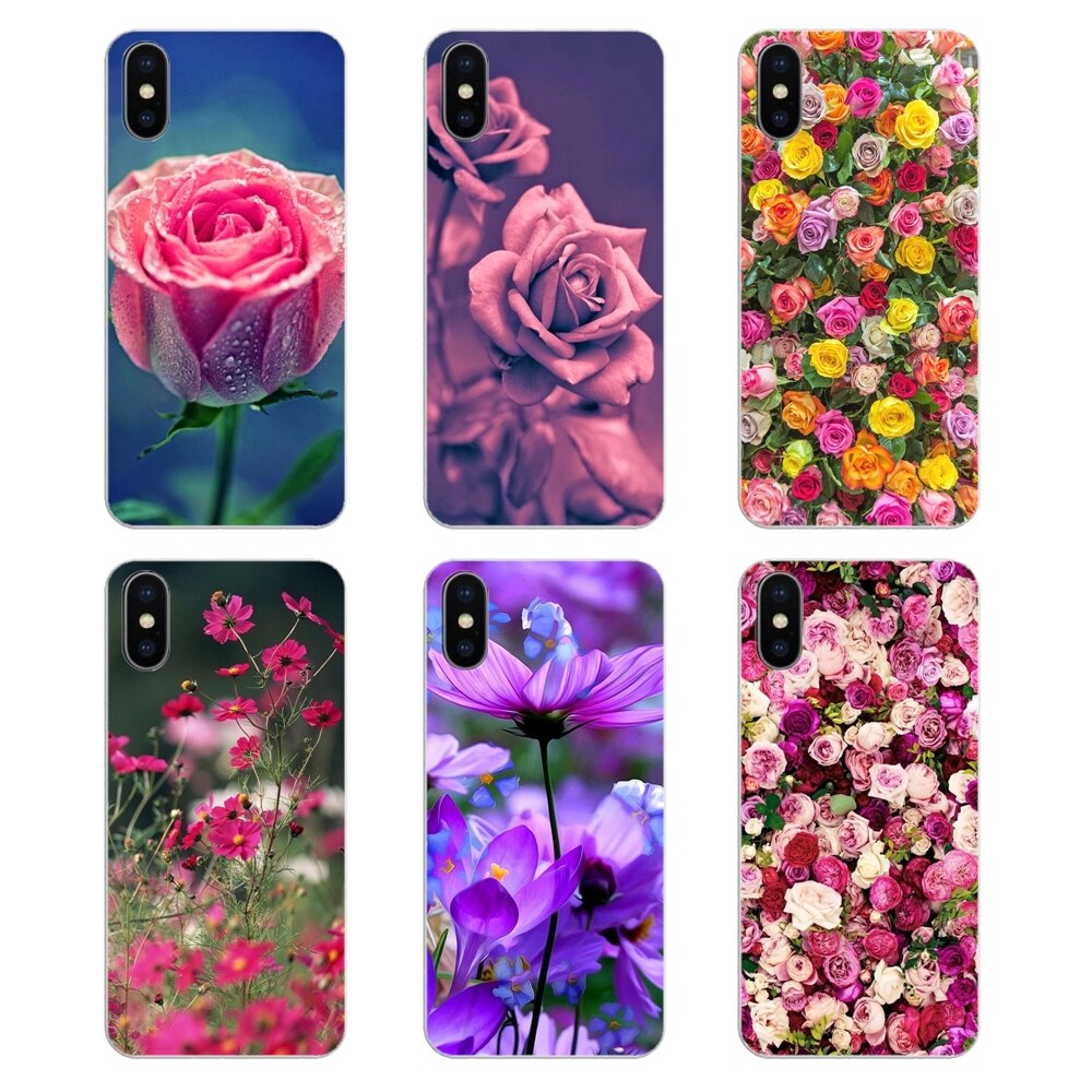 Garden Roses - HD Wallpaper 