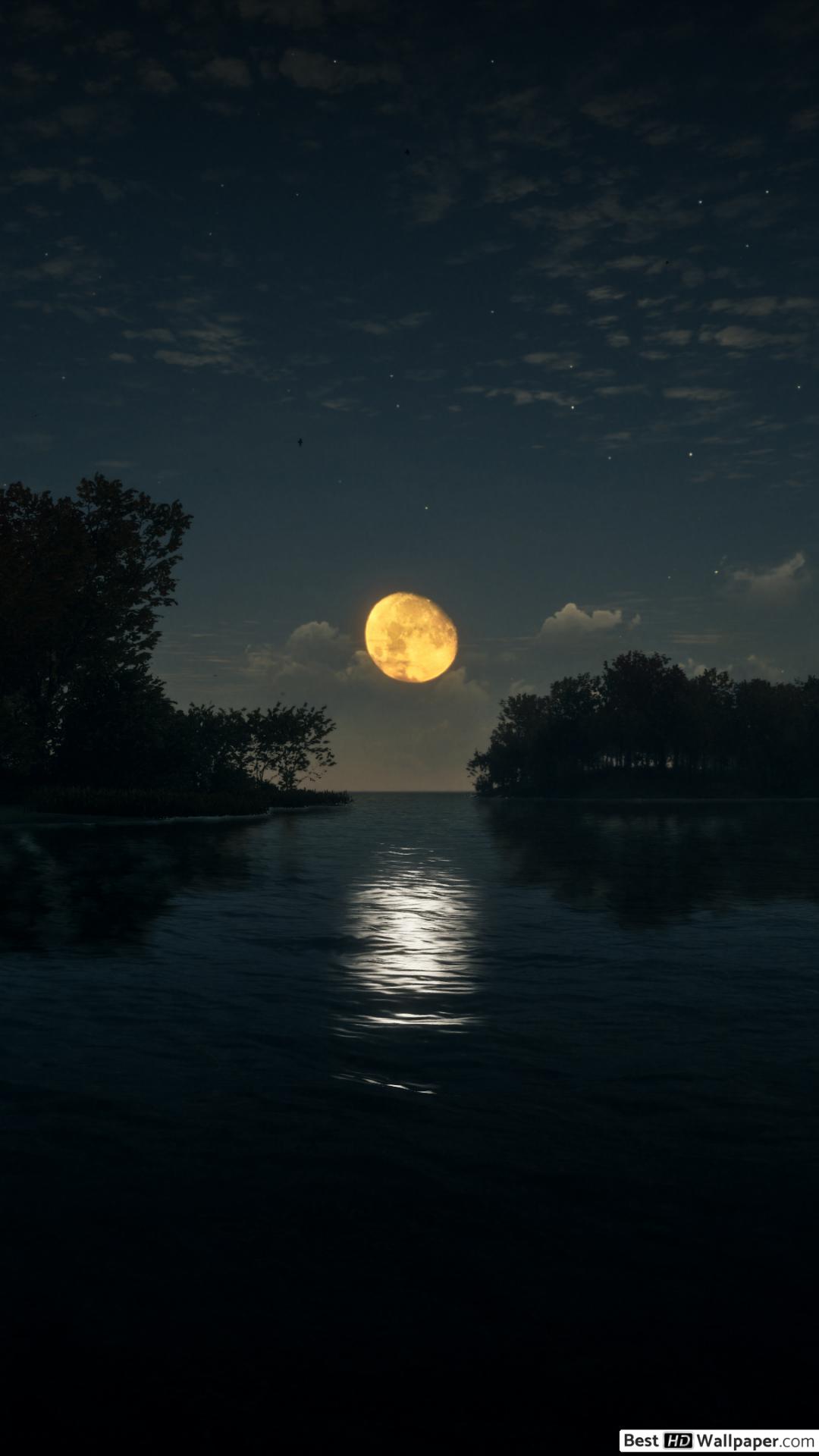 A5 2016 Duvar Kağıtları Hd - HD Wallpaper 