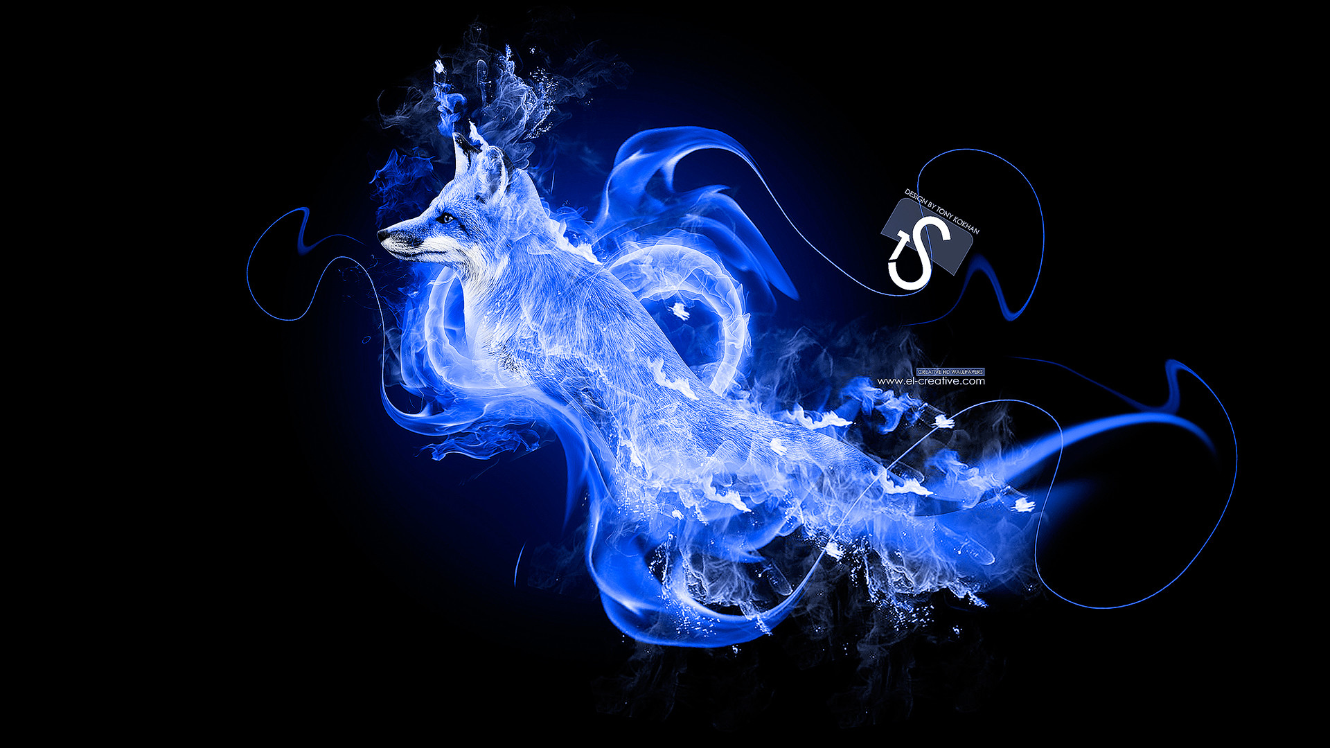 Blue Fire Lion Related Keywords & Suggestions - Fox In Blue Fire - HD Wallpaper 