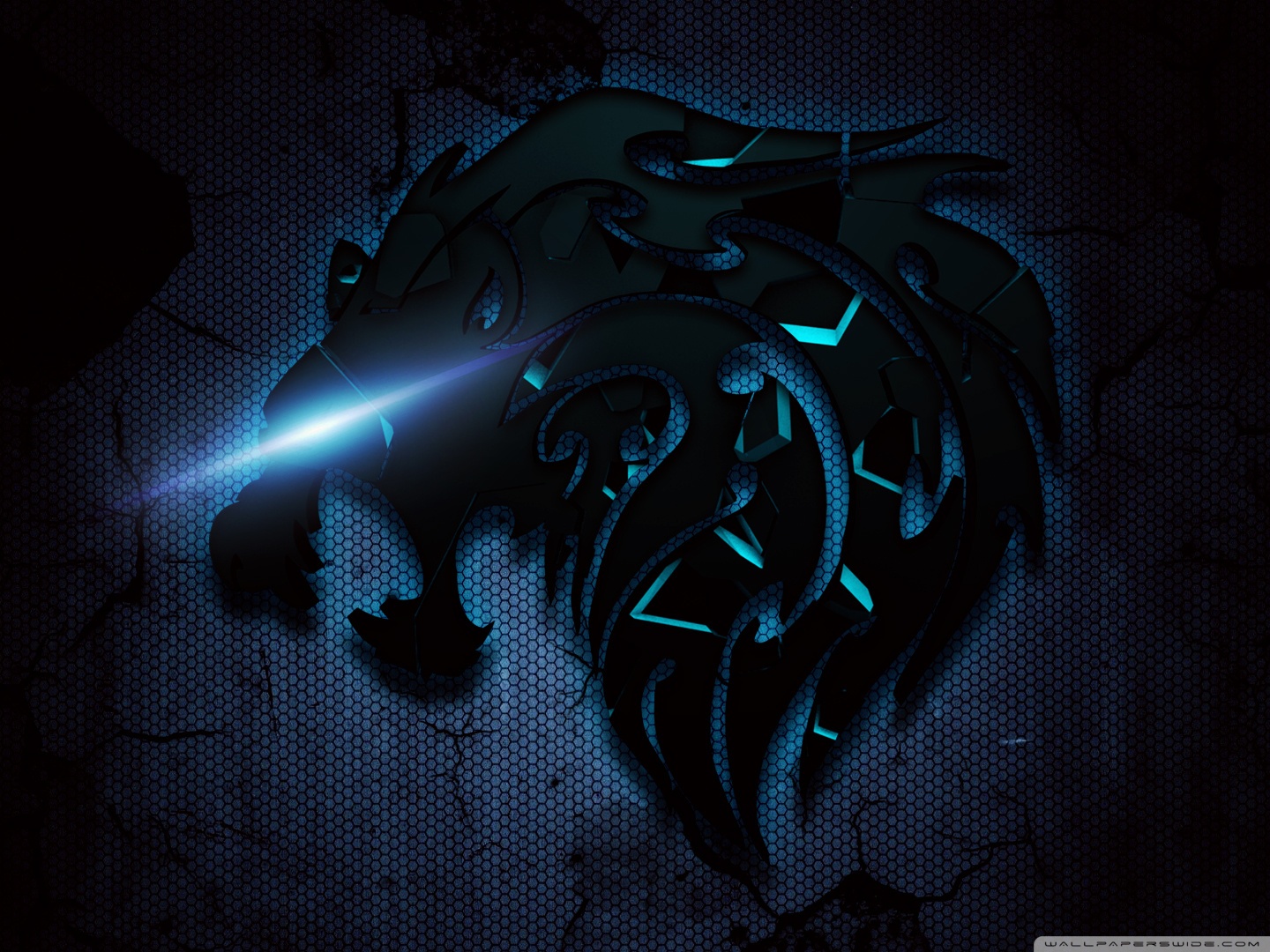 Hd Wallpapers Black Lion - HD Wallpaper 