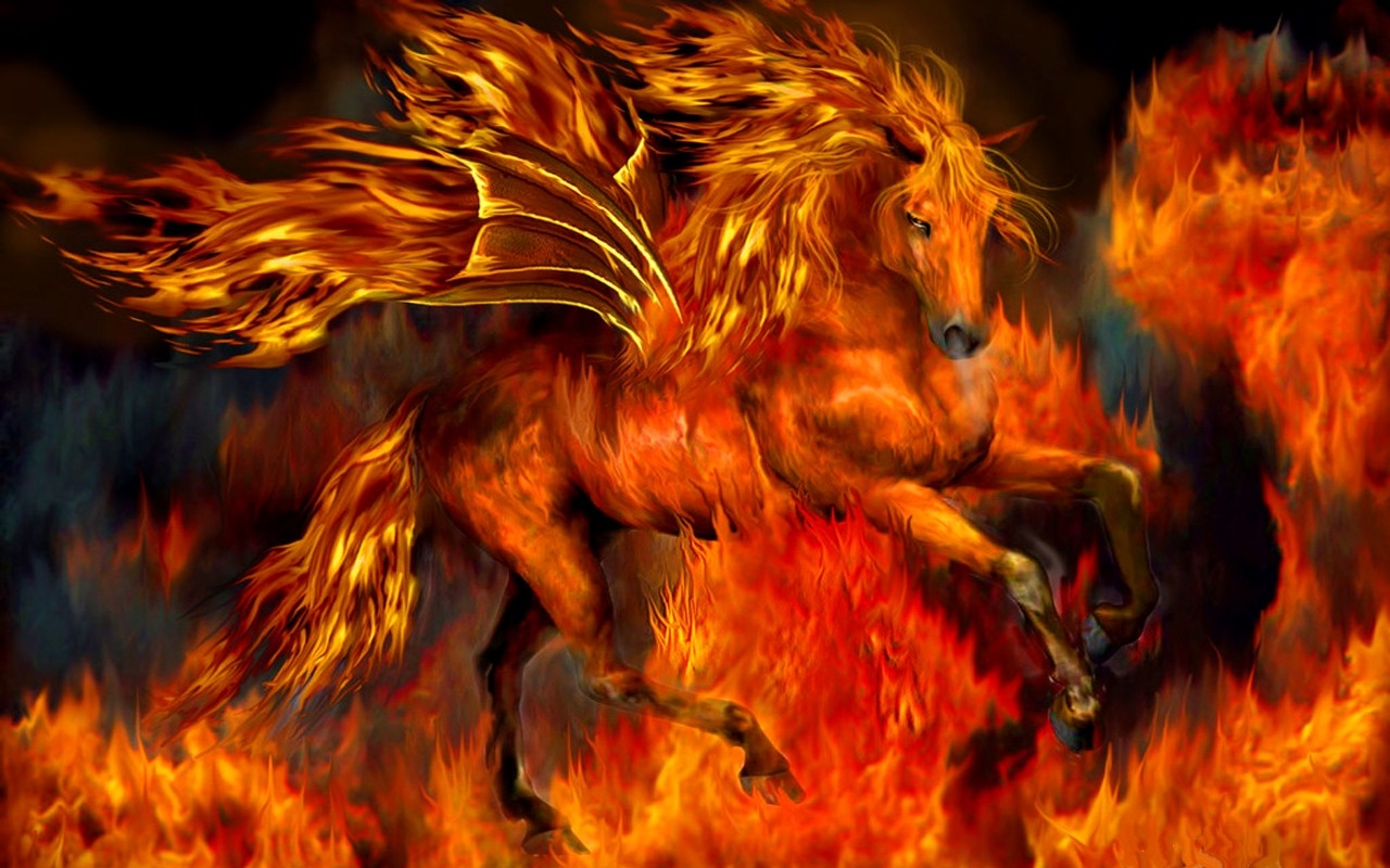 Fire Pegasus - HD Wallpaper 