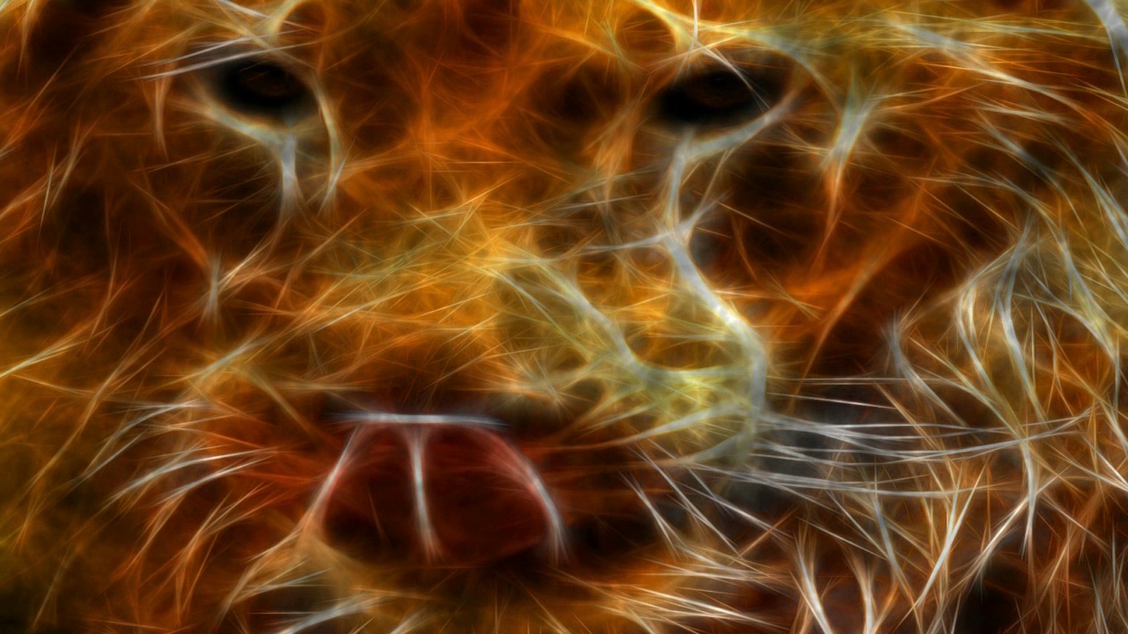 Lion - HD Wallpaper 