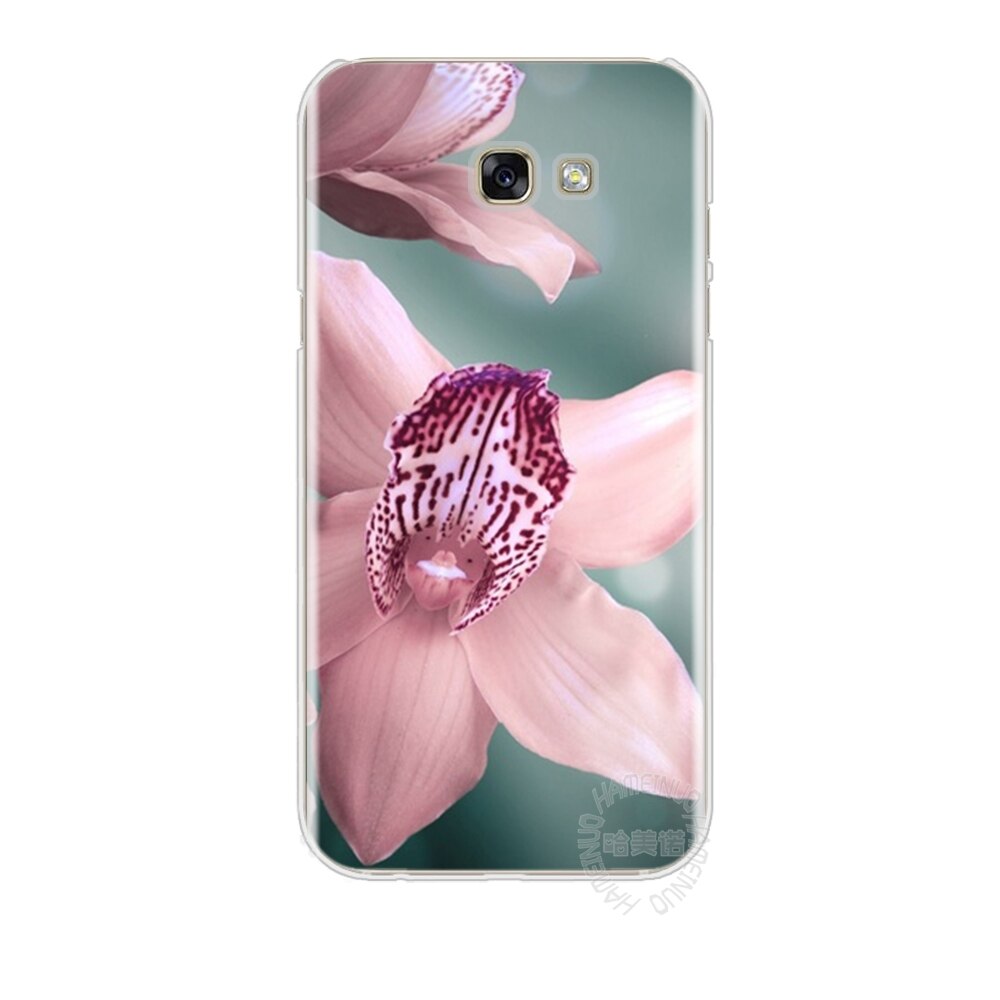 Hameinuo Desktop Wallpapers Free Orchids Cell Phone - Peruvian Lily - HD Wallpaper 
