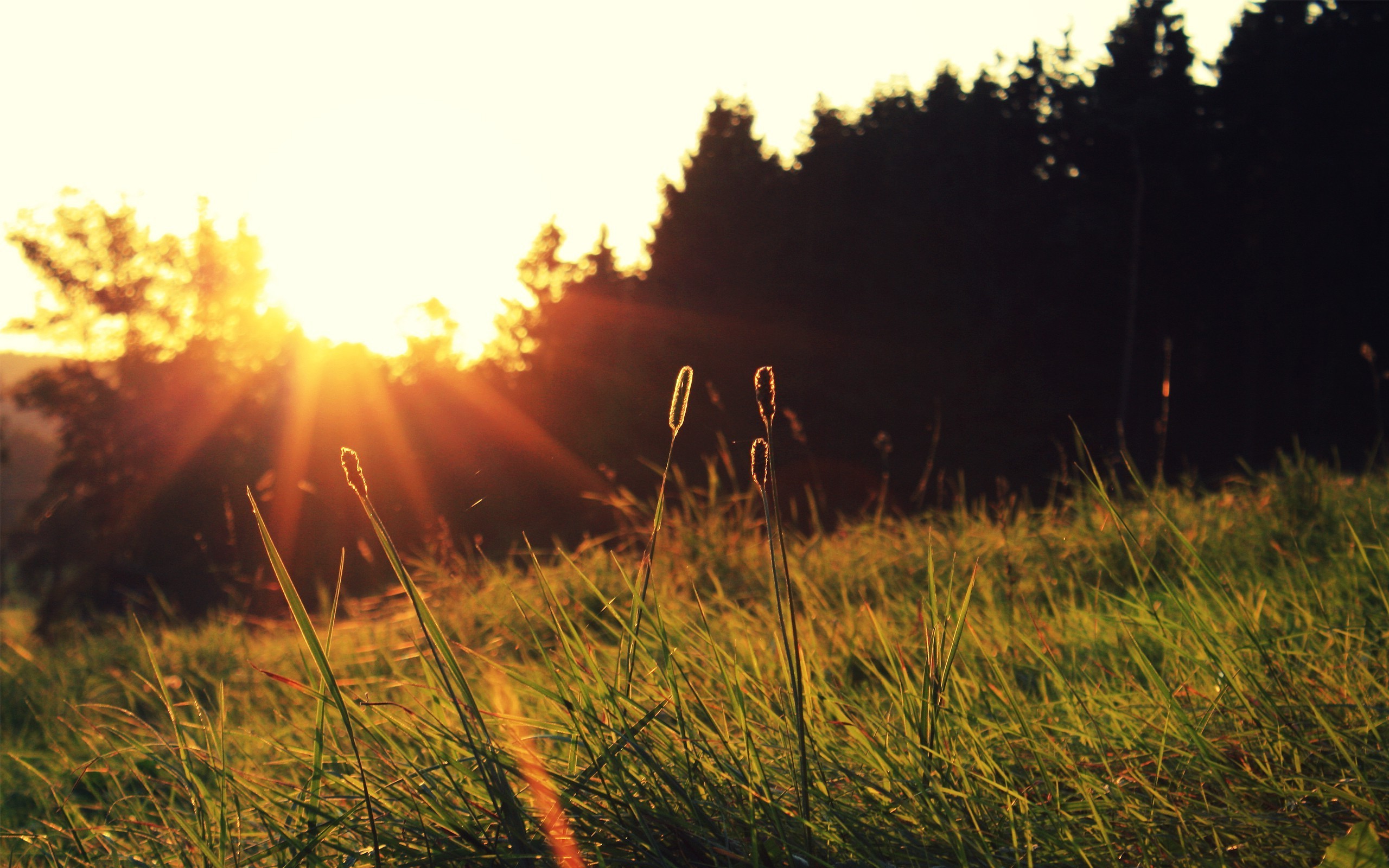 Landscape & Nature Wallpapers » Photography, Nature - Photography Sunset Background - HD Wallpaper 