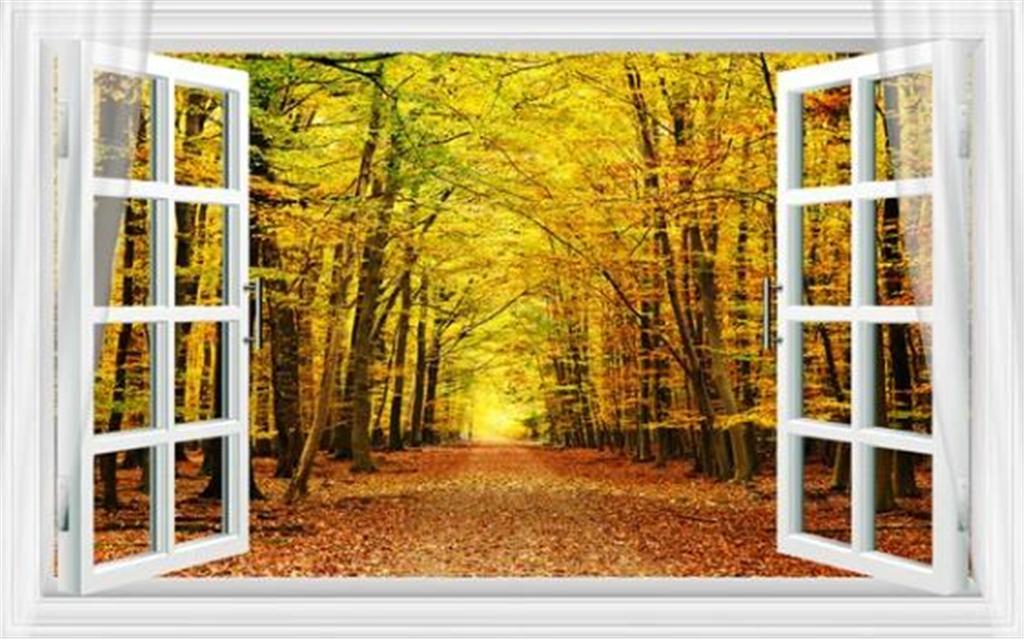 Autumn Window Room - HD Wallpaper 