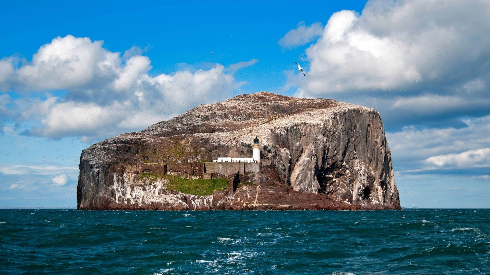Bass Rock - HD Wallpaper 