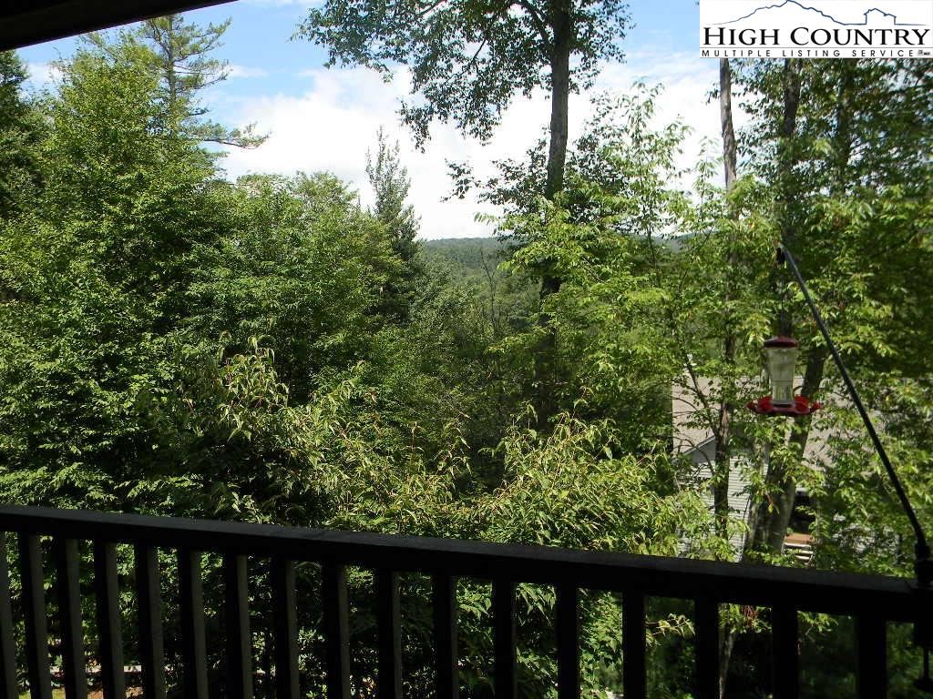 American Pitch Pine - HD Wallpaper 