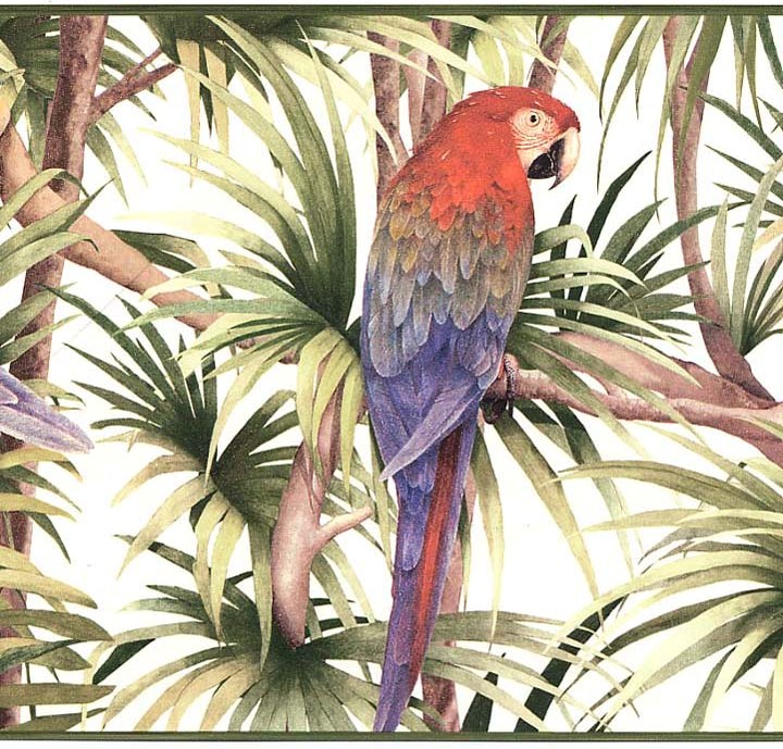 Birds Free Wallpaper Photos - Tropical Bird Print - HD Wallpaper 