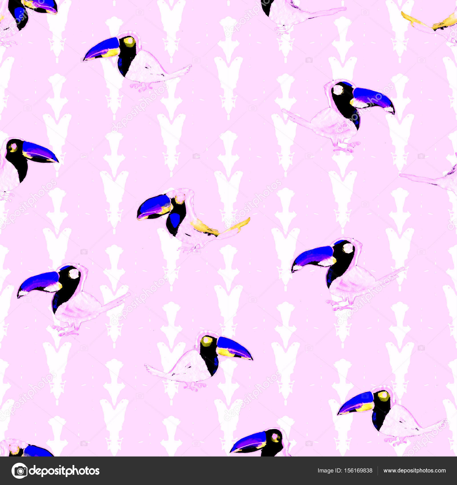 Hornbill - HD Wallpaper 