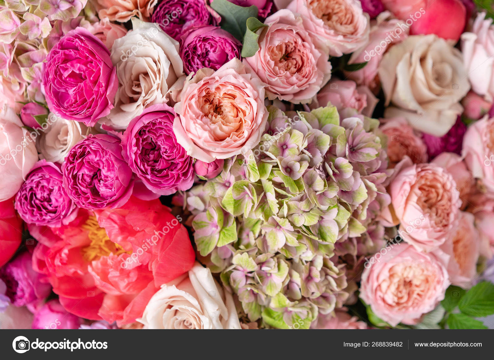 Beautiful Flowers Flowers - HD Wallpaper 