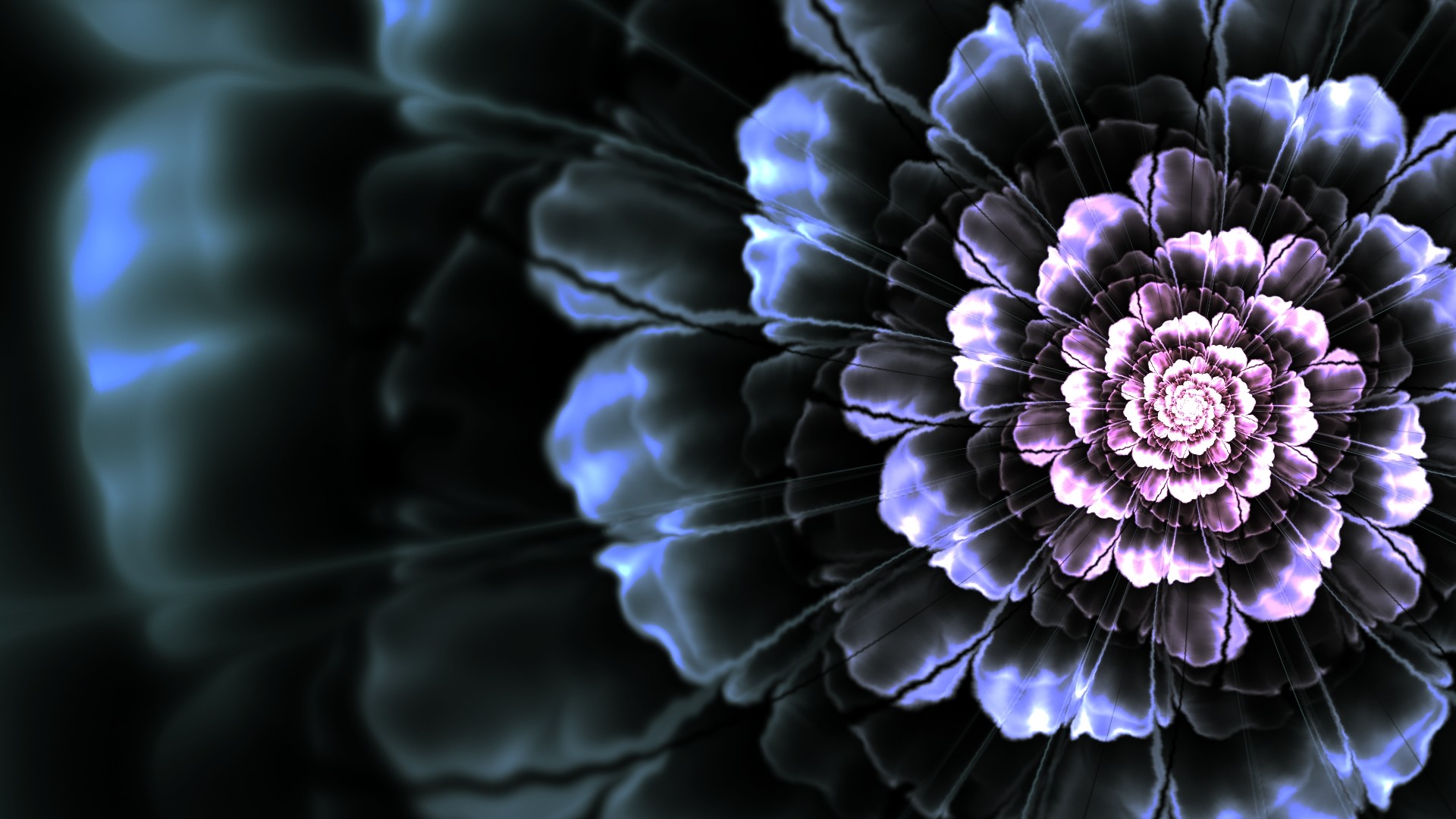 Wallpaper Flower, Background, Bright, Lines, Dark 
 - Black Dahlia Flower Background - HD Wallpaper 