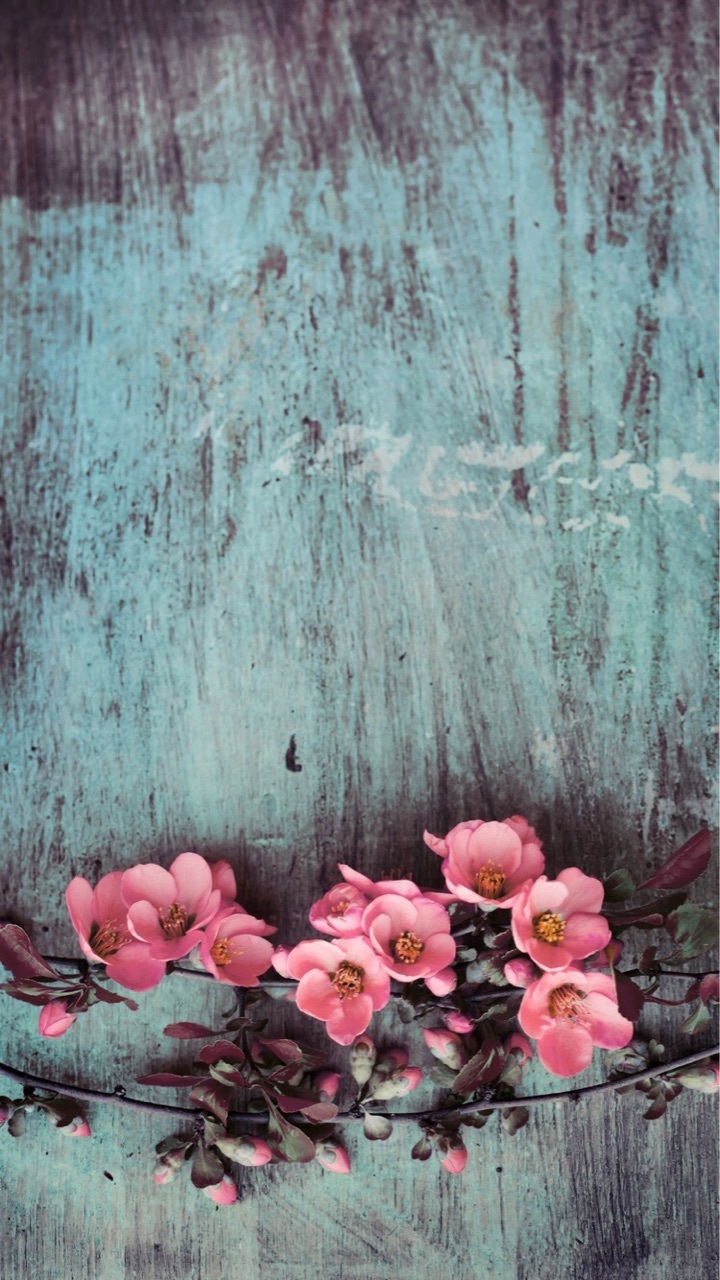 Wallpaper And Flowers Image - Teal With Pink Flowers Background - HD Wallpaper 