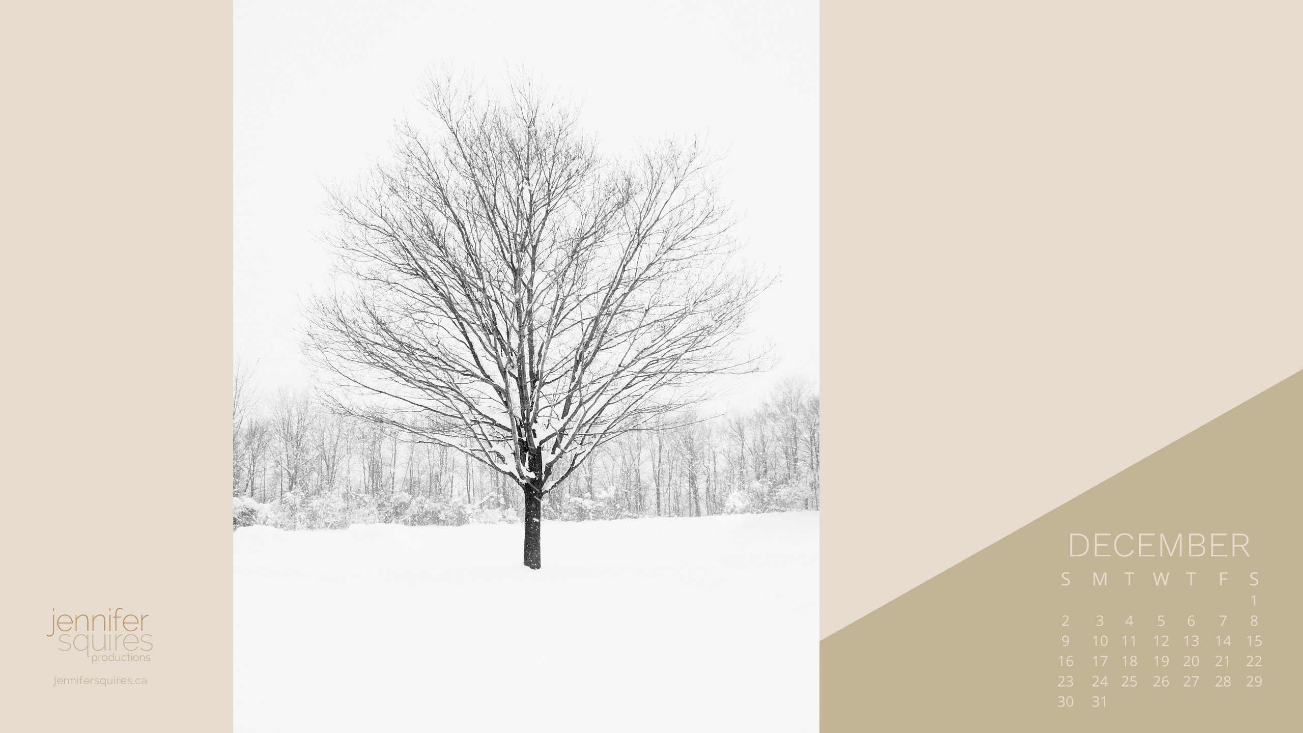 Tree Print Wallpaper - HD Wallpaper 