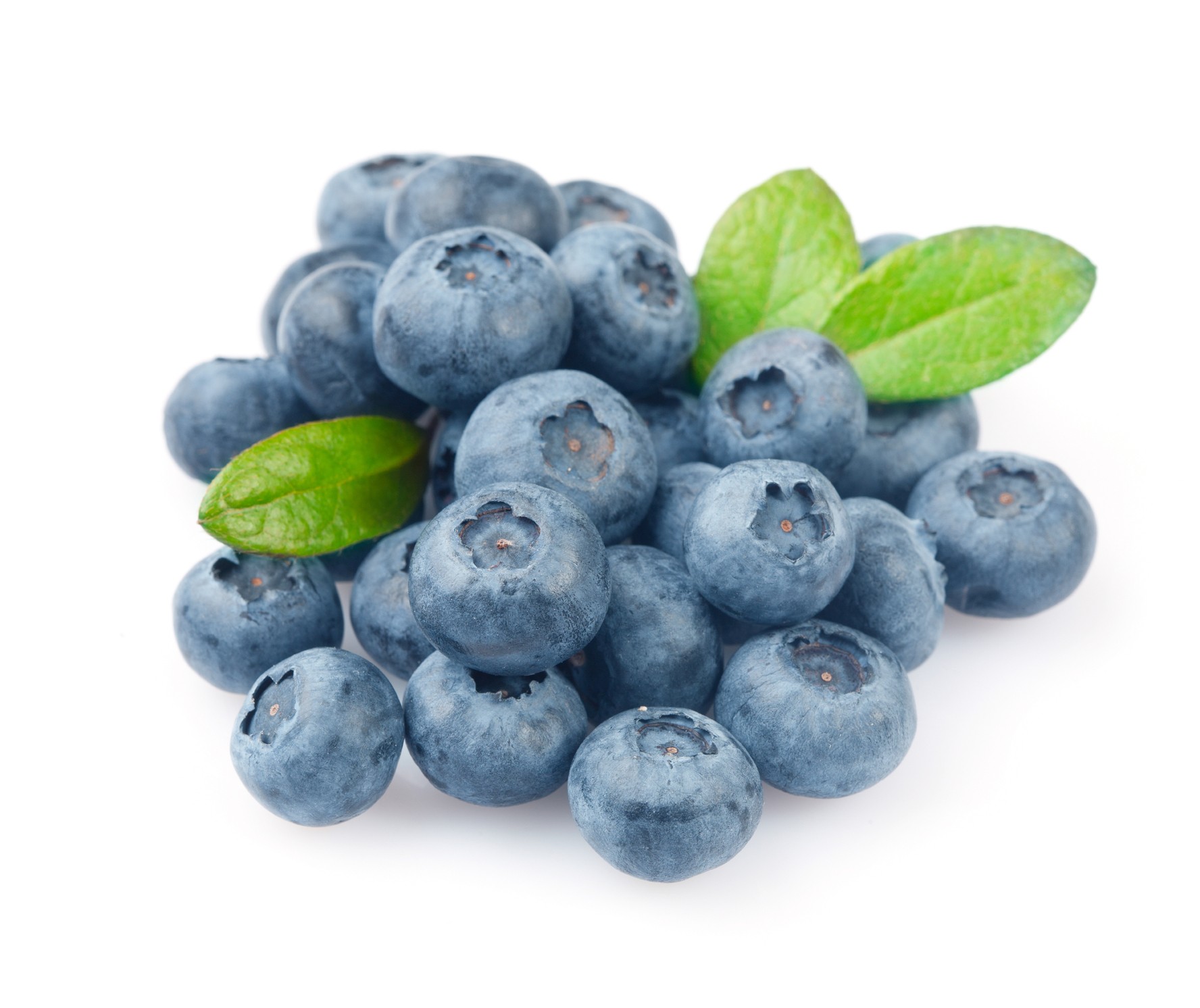 Blueberry Pics, Food Collection - HD Wallpaper 