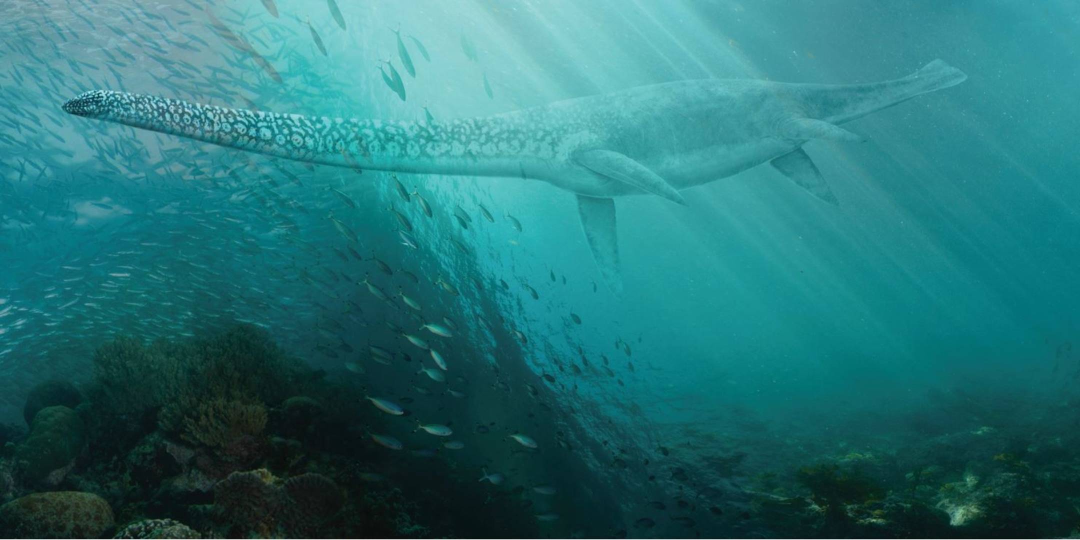 Sample Wallpaper For Sea Monsters [hawke Graphics] - Sea Monsters Underwater - HD Wallpaper 