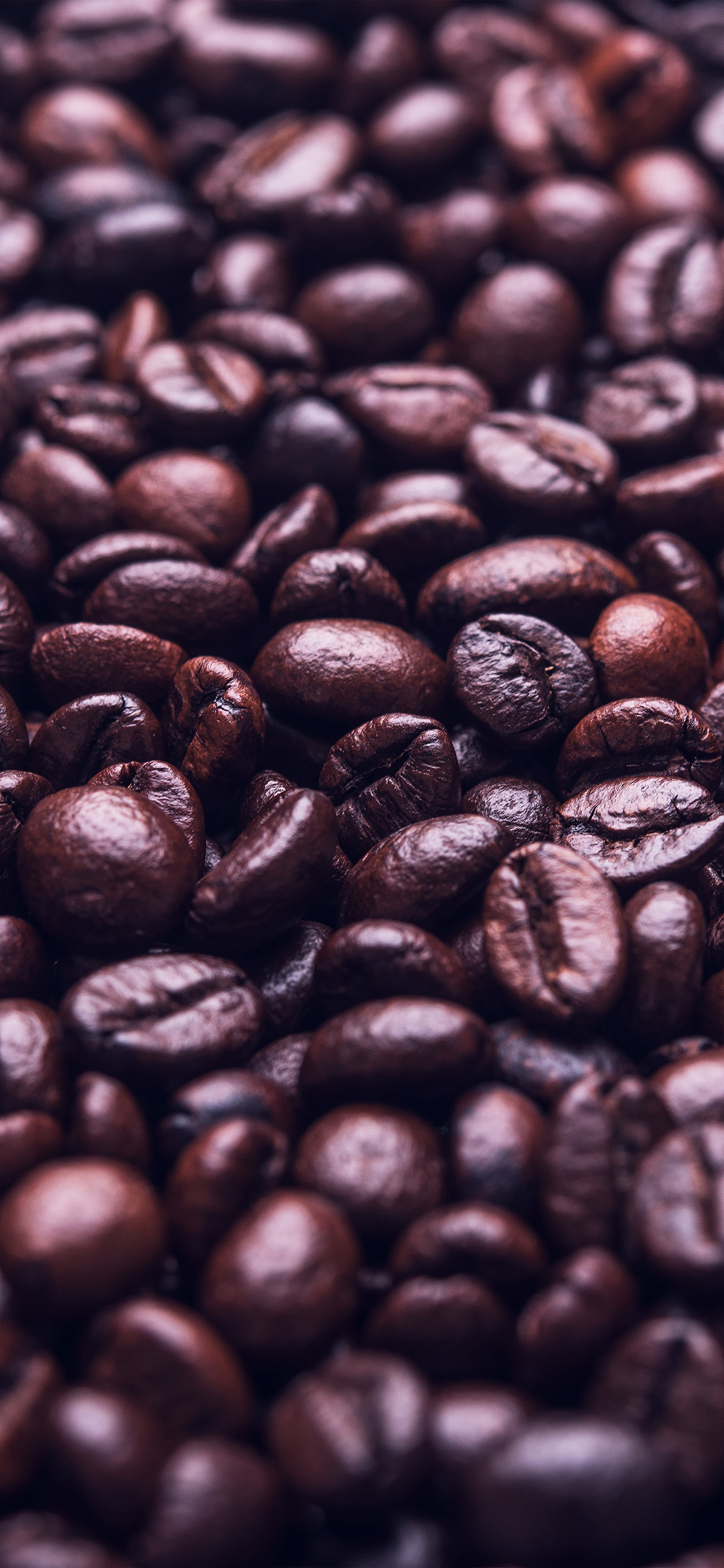 Coffee Beans Wallpaper Iphone - HD Wallpaper 