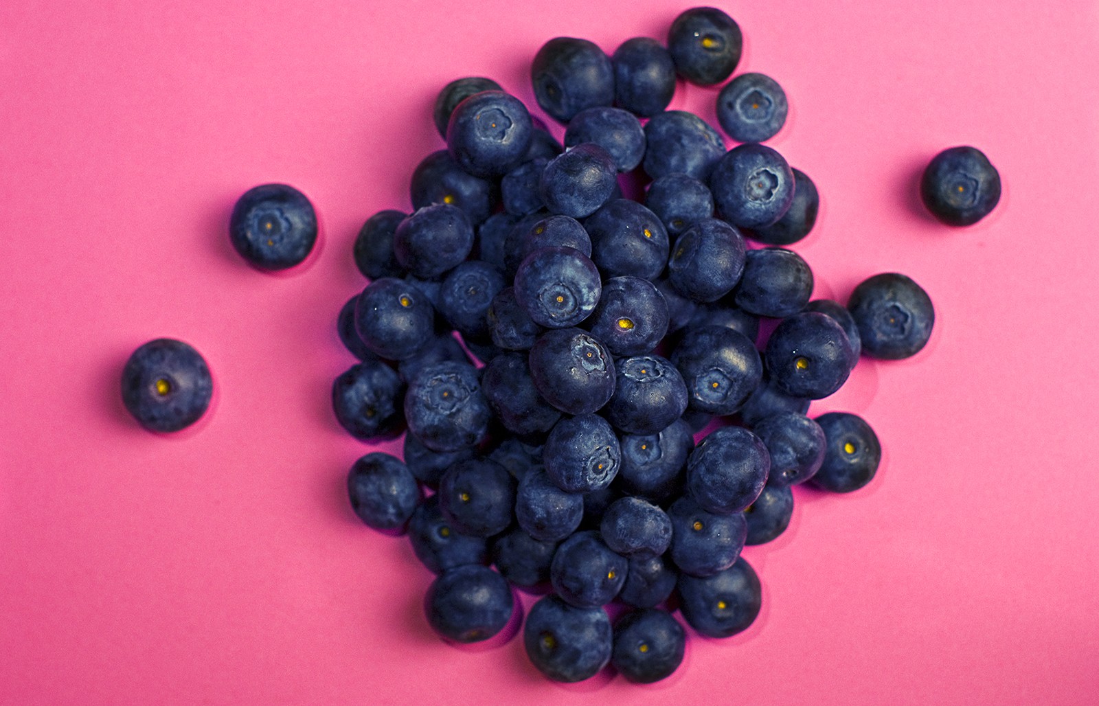 Can U Feed Guinea Pigs Blueberries - HD Wallpaper 