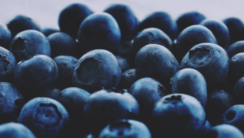 Blueberry - HD Wallpaper 