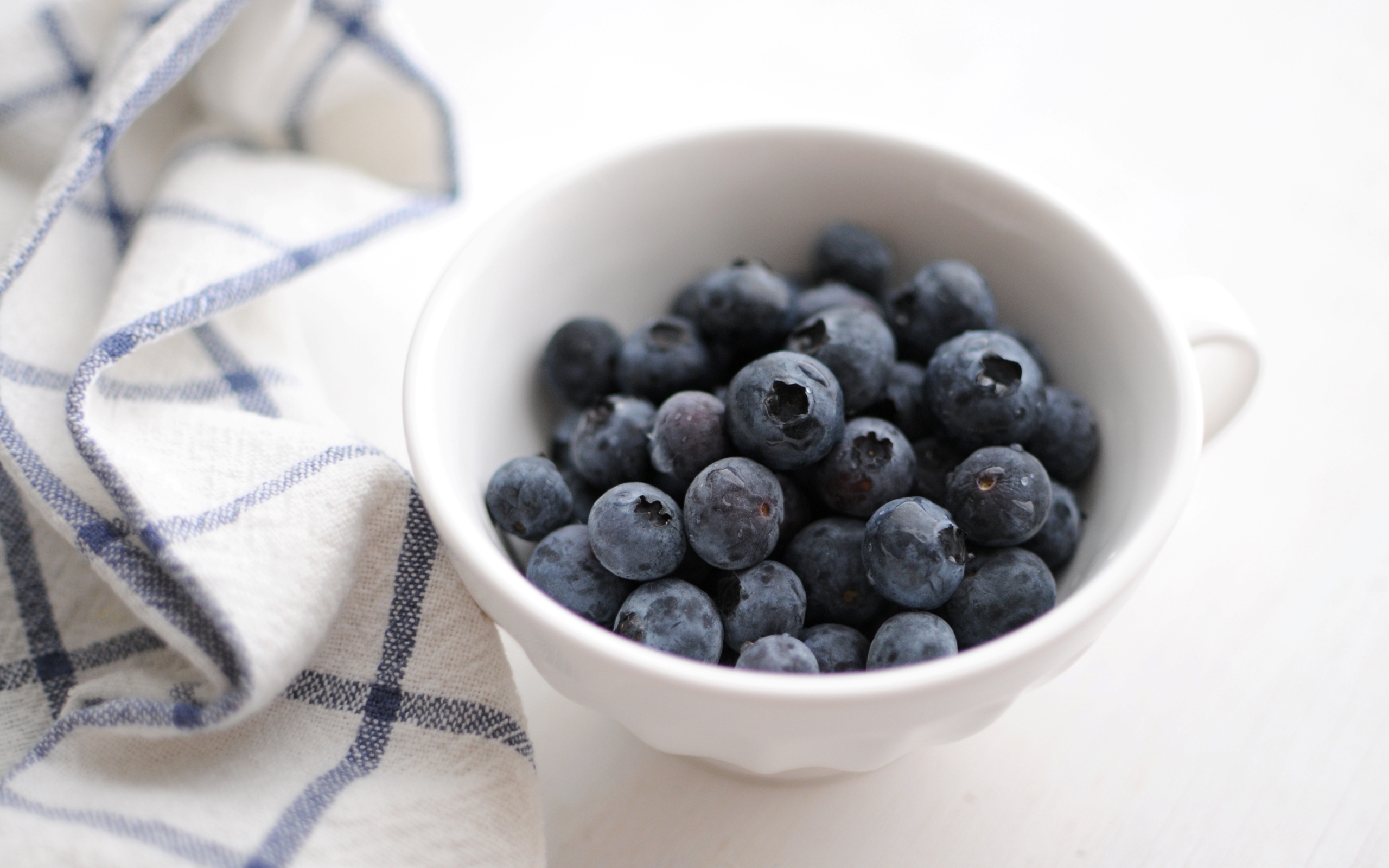 Blueberry Background - HD Wallpaper 