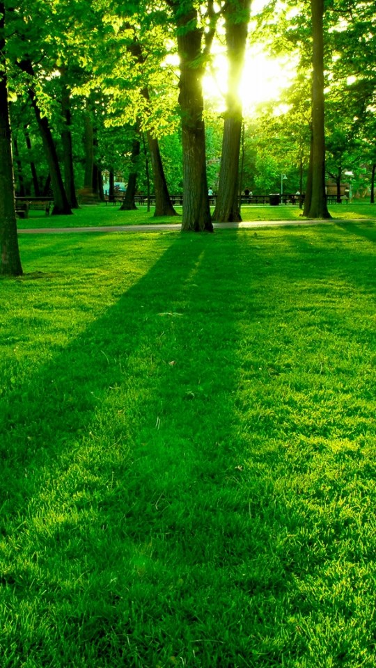 Park Background Full Hd - 540x960 Wallpaper 