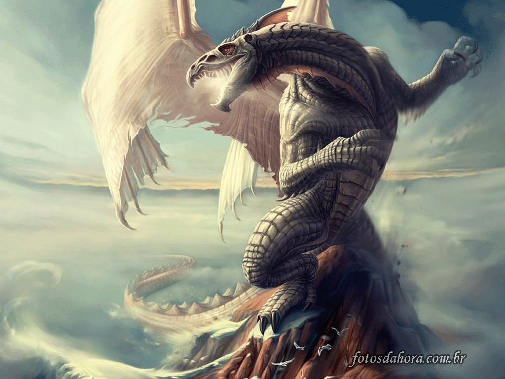 Frosty White - White Dragon - HD Wallpaper 