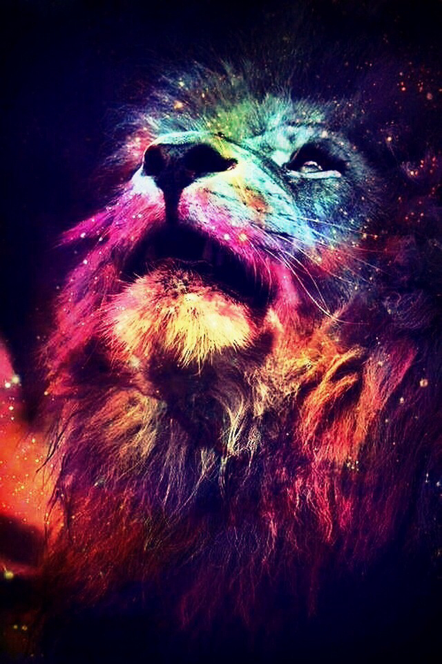 Lion, Galaxy, And Animal Image - Colorful Lion - HD Wallpaper 