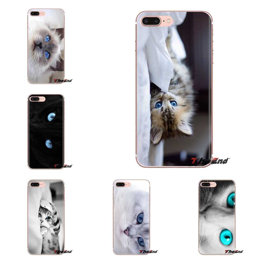 Blue Eyes Cat Hd Wallpaper Silicone Case Covers For - Samsung Galaxy S Ii - HD Wallpaper 