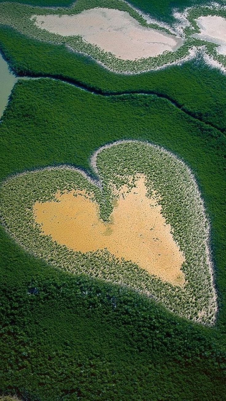 Samsung Galaxy Grand 2 Phone Tips And Tricks Kabar - Heart Of Voh New Caledonia - 736x1308 Wallpaper Samsung Galaxy Grand 2 Phone Tips And Tricks Kabar - Heart Of Voh New Caledonia - 736x1308 Wallpaper