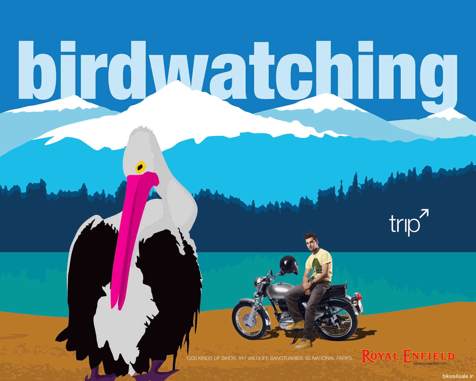 Royal Enfield Trip Bird Watching - Royal Enfield Trip - HD Wallpaper 
